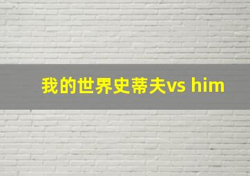 我的世界史蒂夫vs him